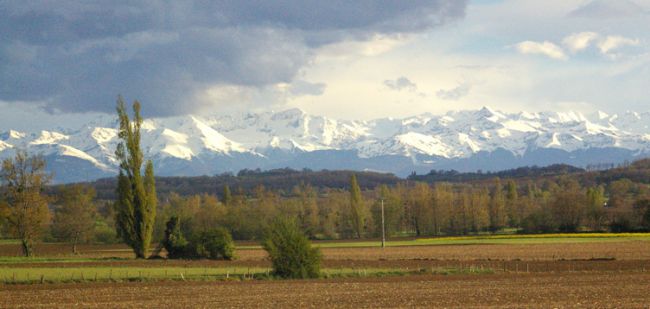 Stage d’été – juillet 2022