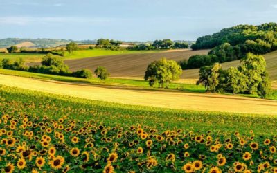 Stages d’été – juillet 2023