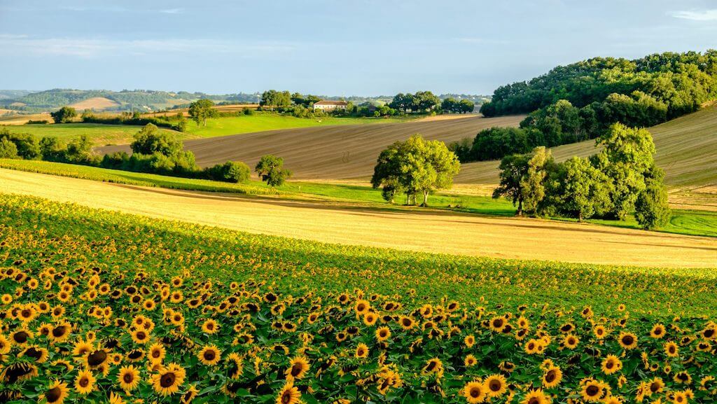 Stages d’été – juillet 2023